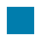 Map Icon